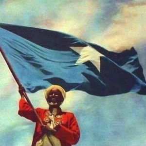 Meet your Posher, Hussein